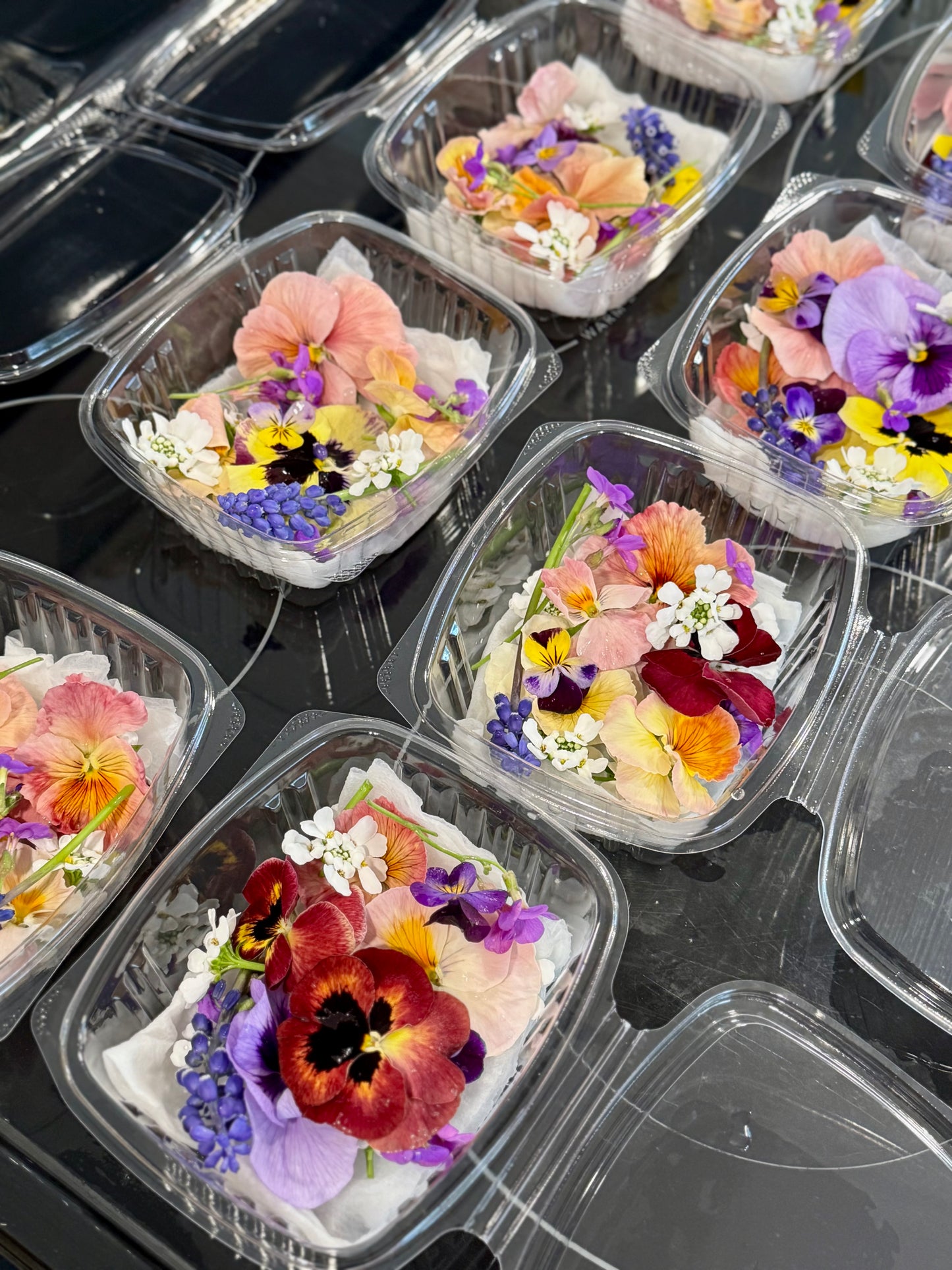Edible Flowers - Pansies