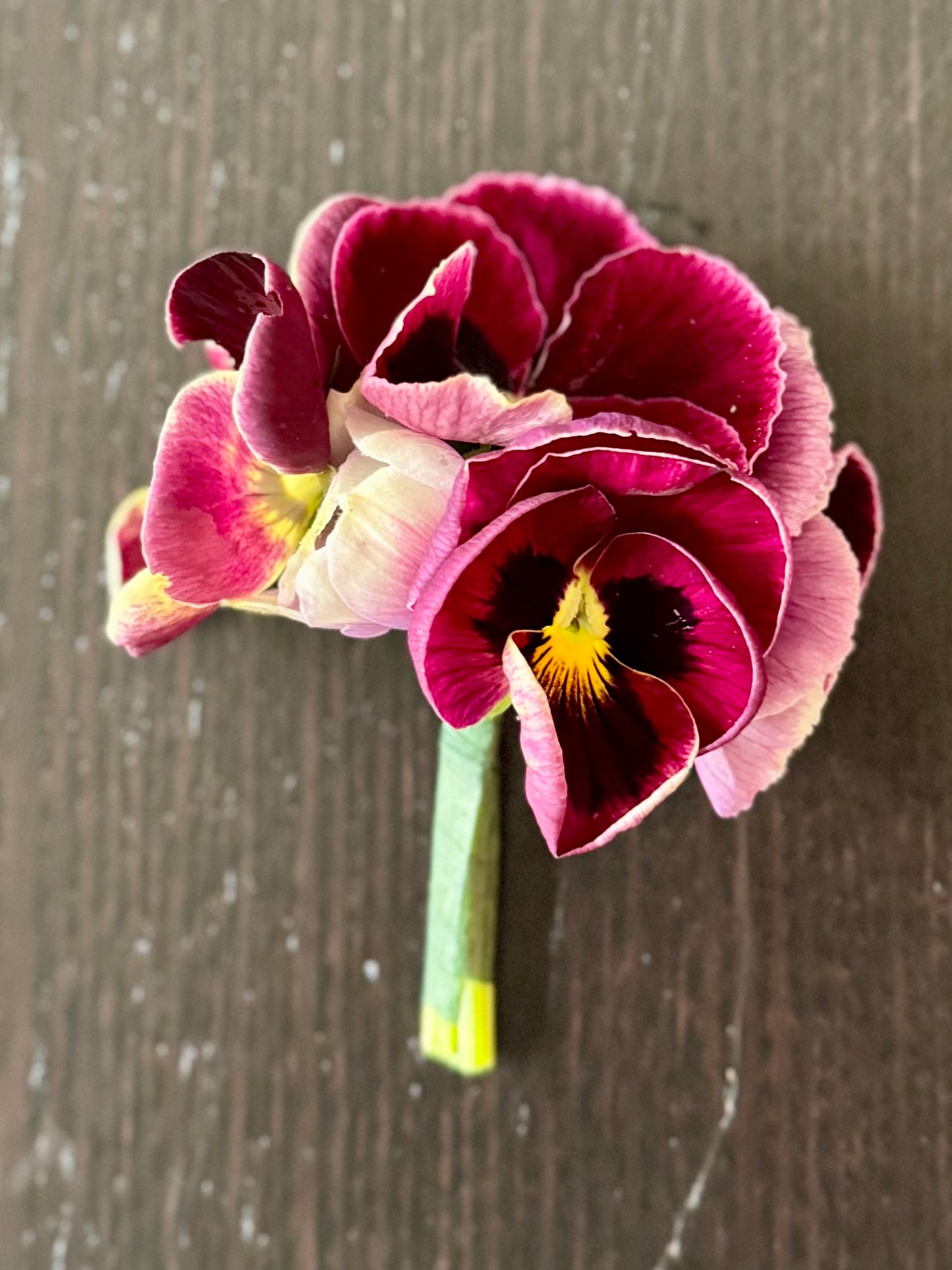 Boutonnière