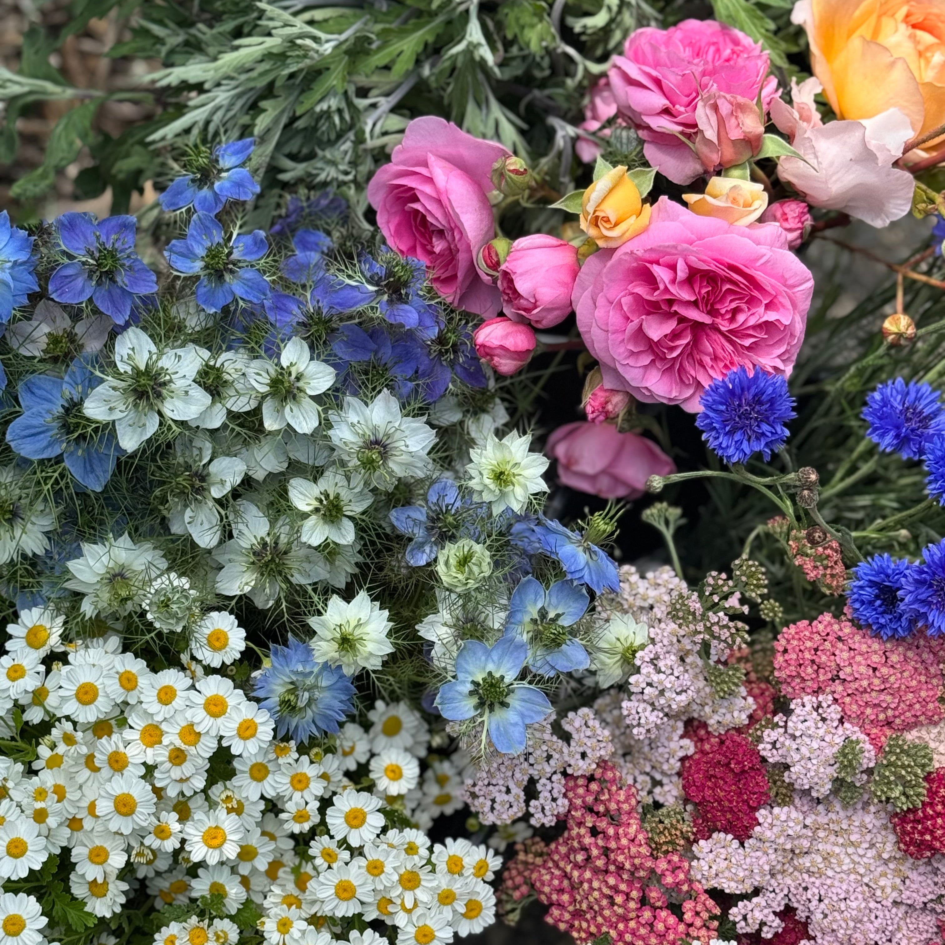 Flowers by Dr. Jo | Northeast Seattle View Ridge Flower Farm