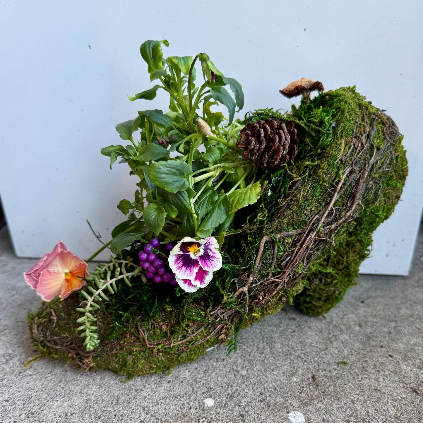 Shoe Planter with Specialty Pansies