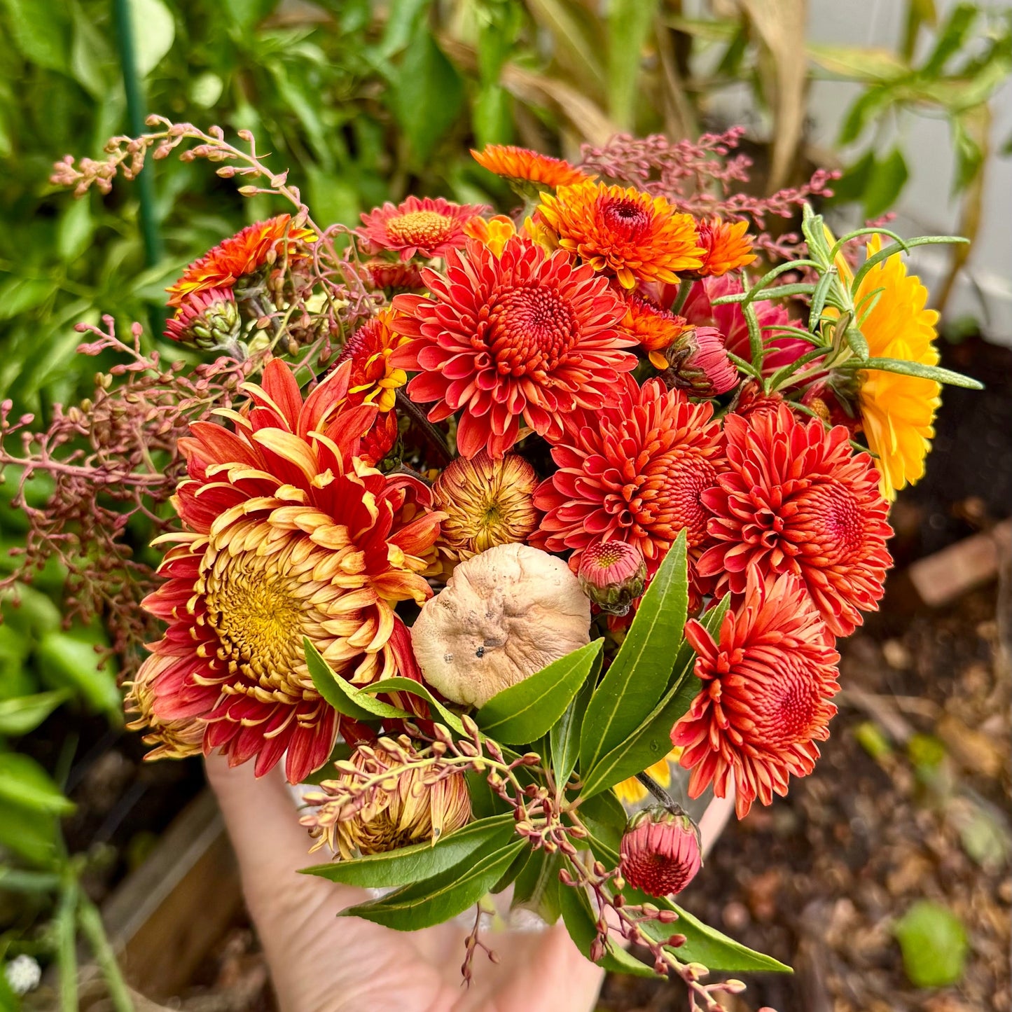 Mum Thanksgiving Centerpiece - Pickup/Delivery