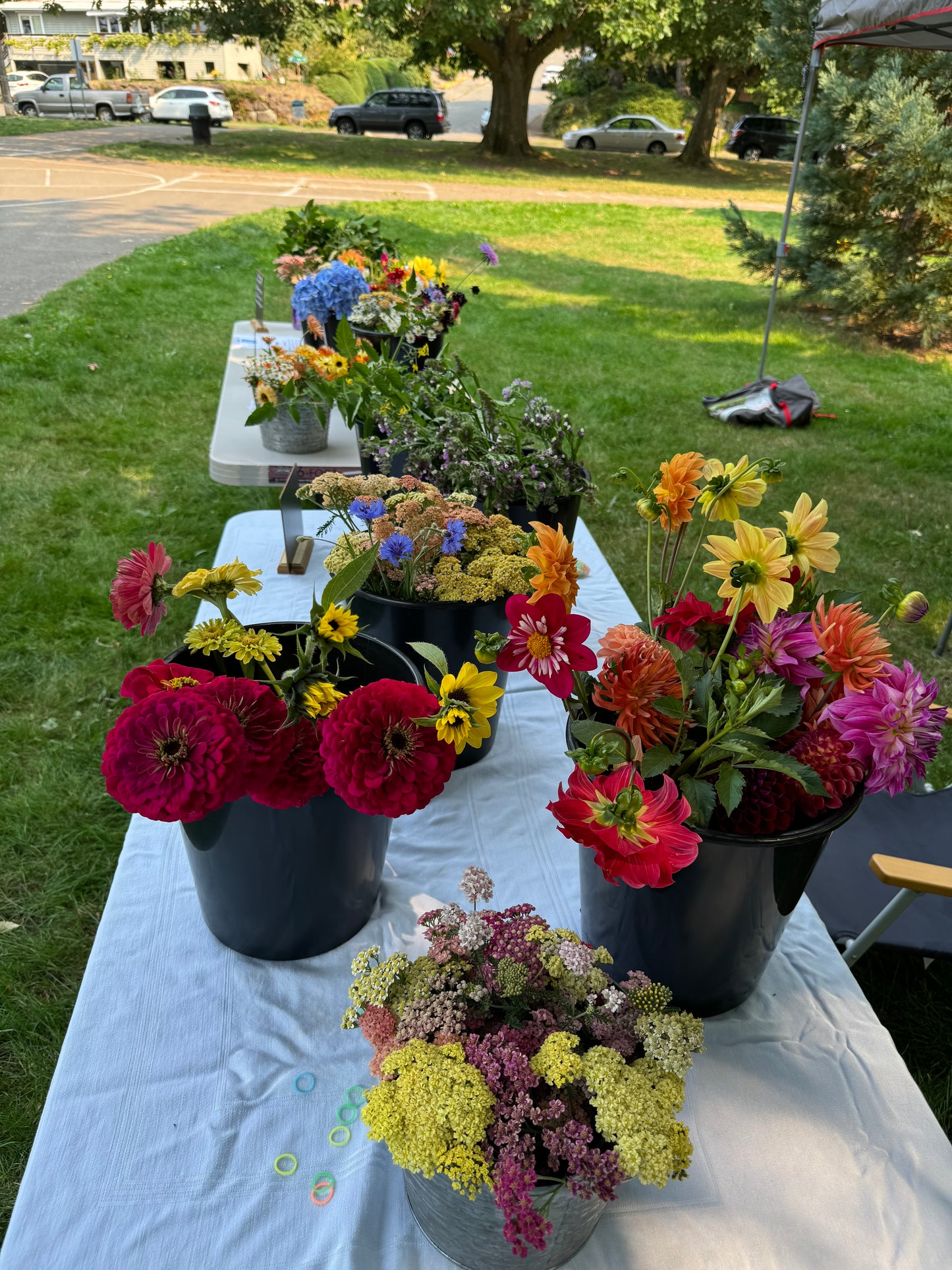 Bucket of Blooms