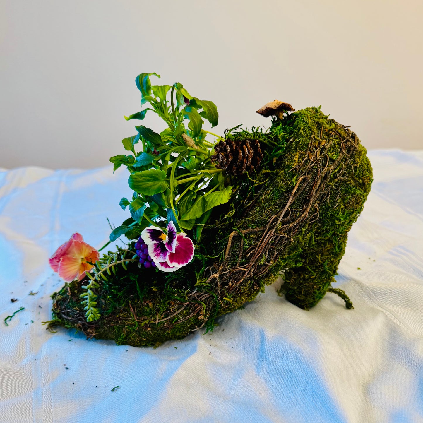 Shoe Planter with Specialty Pansies