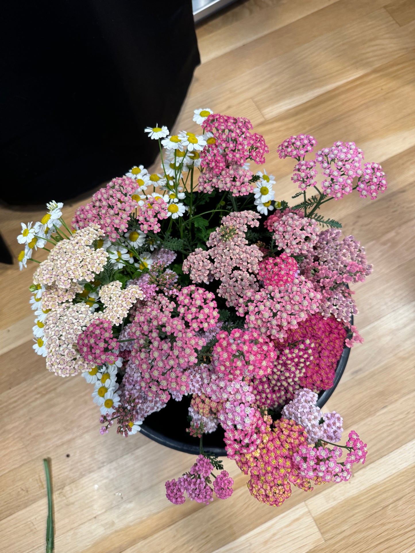 Bucket of Blooms