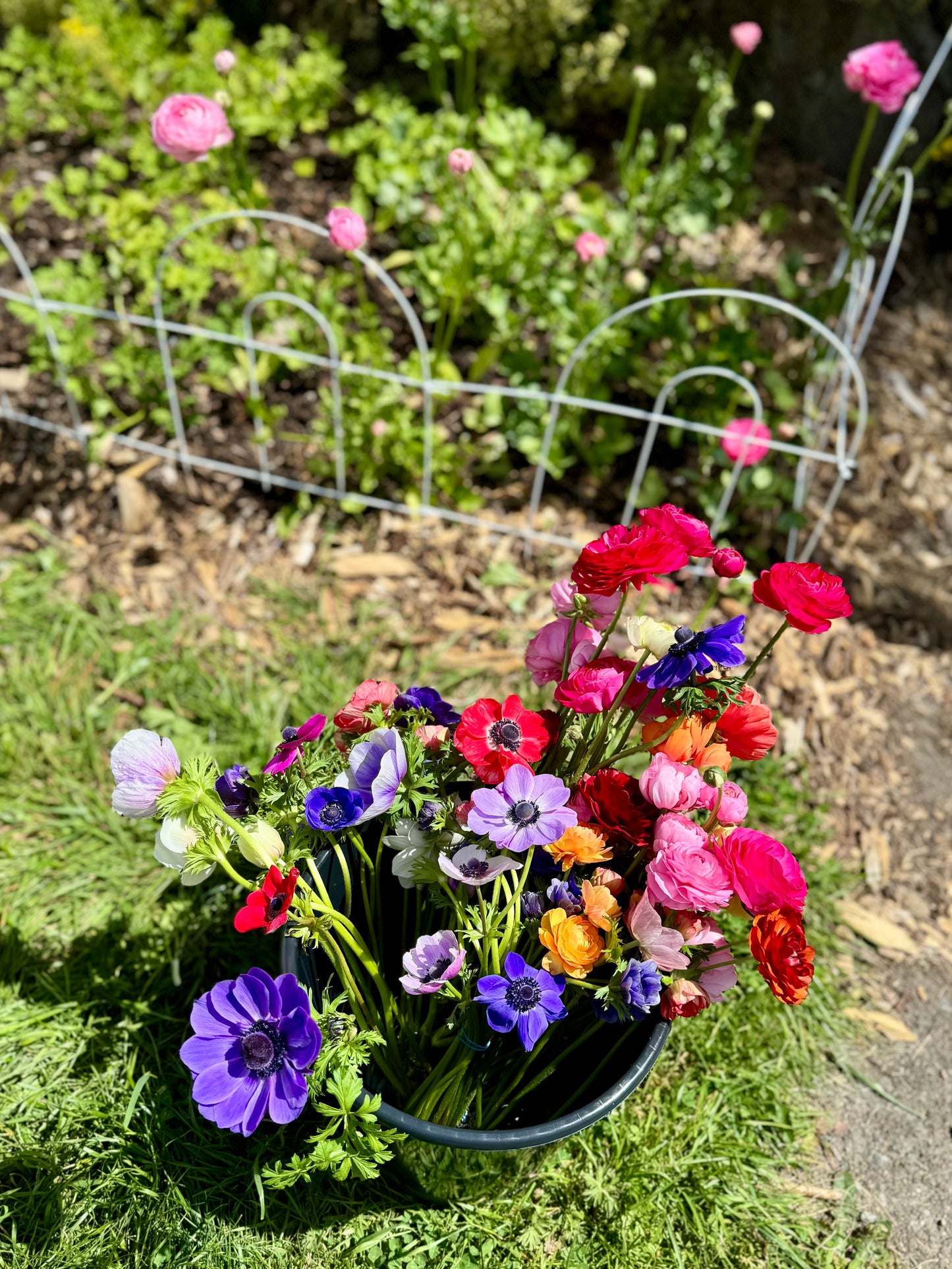 Bucket of Blooms